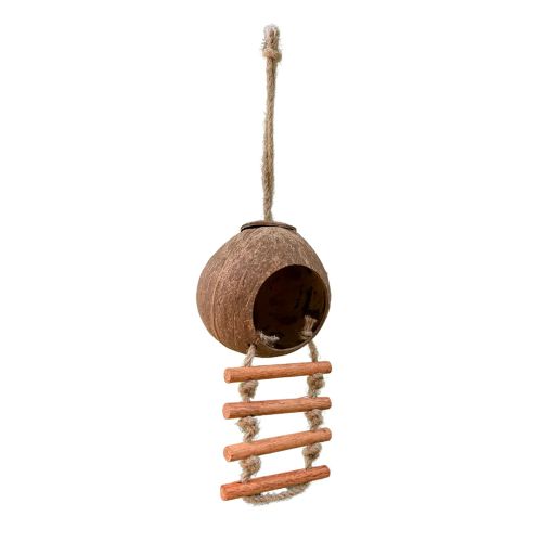 Coconut birdhouse - Image 1